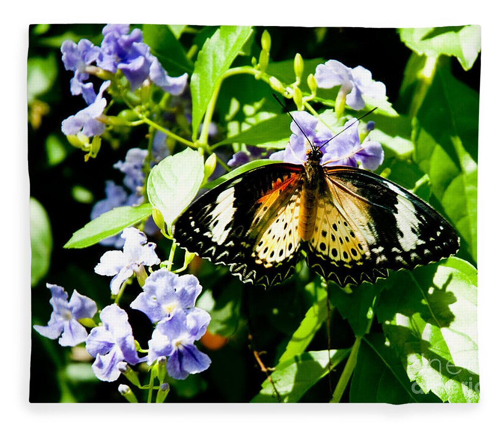 Butterfly Fleece Blanket featuring the photograph Butterfly by Shijun Munns