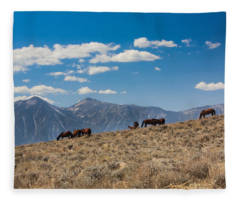 Landscape Fleece Blanket featuring the photograph Carson Valley band by John T Humphrey