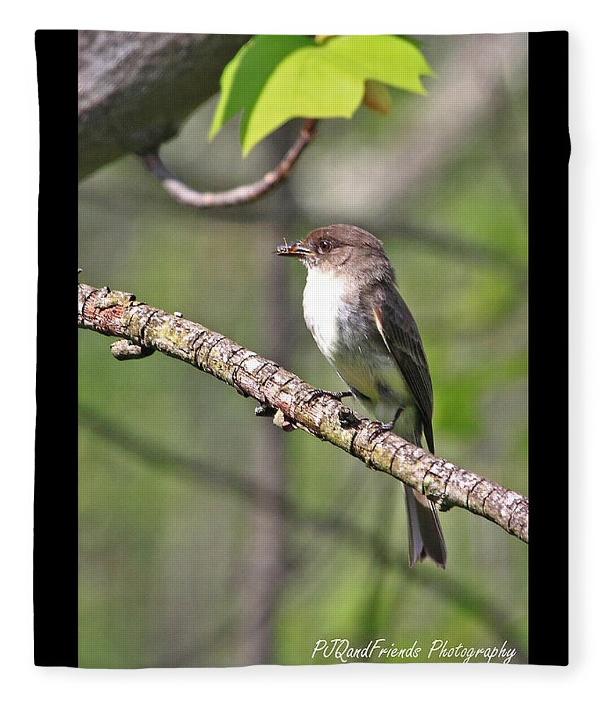 Flycatcher Fleece Blanket featuring the photograph 'Caught the Fly' by PJQandFriends Photography