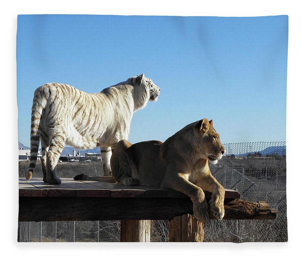 Lion Fleece Blanket featuring the photograph Chalet and Kumba by Kim Galluzzo Wozniak