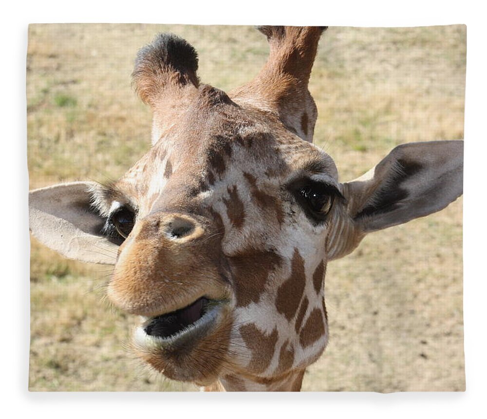 Giraffe Fleece Blanket featuring the photograph Chewing my treat by Kim Galluzzo Wozniak
