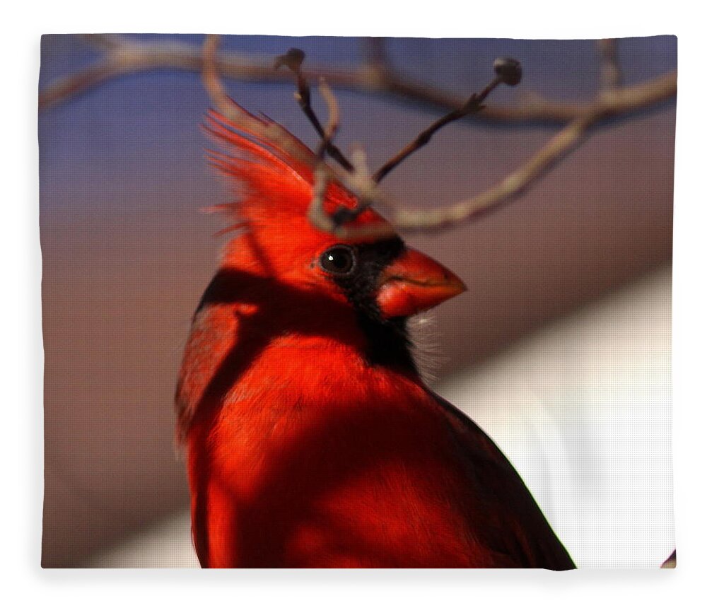 Nature Fleece Blanket featuring the photograph Click by Travis Truelove