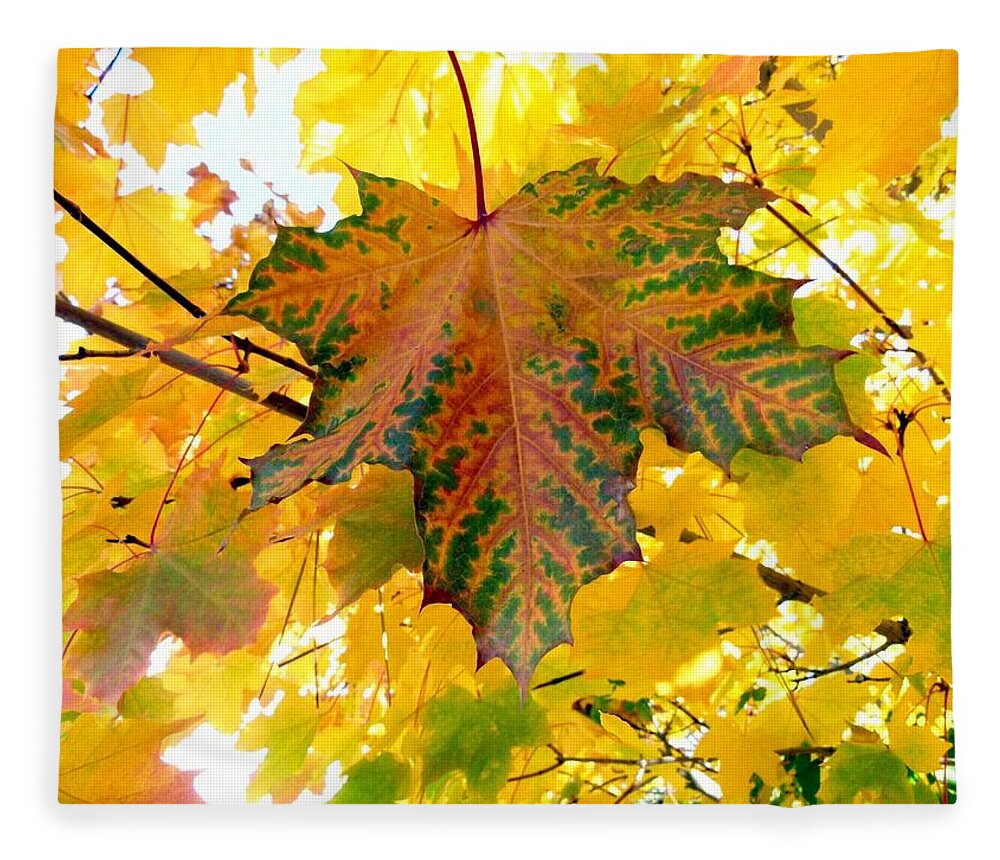 Autumn Fleece Blanket featuring the photograph Country Color 21 by Will Borden