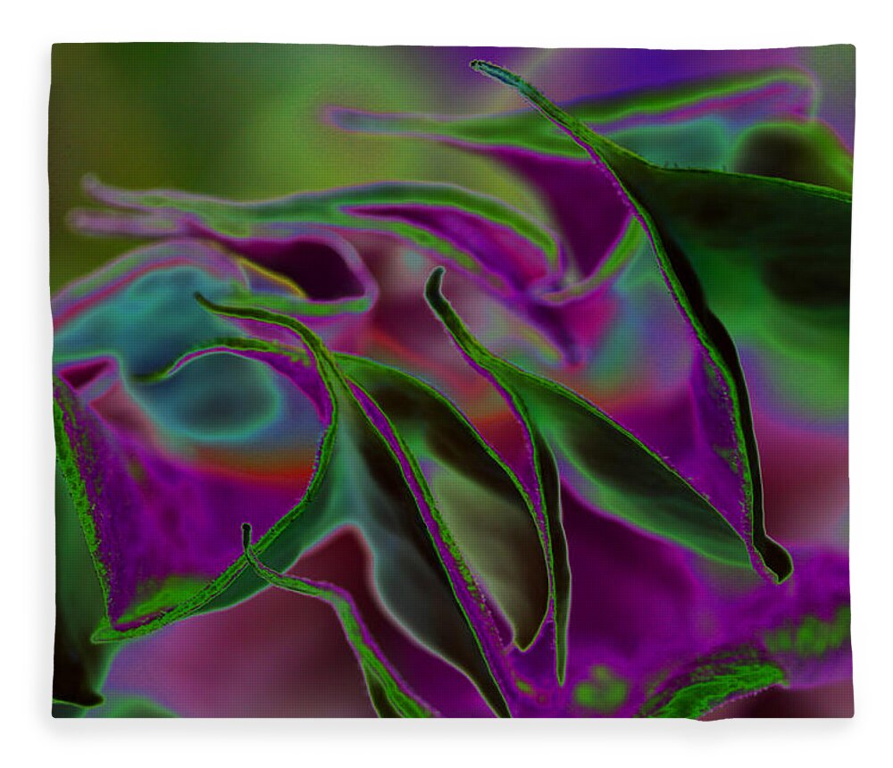 Datura Fleece Blanket featuring the photograph Datura Dreams by Diana Haronis