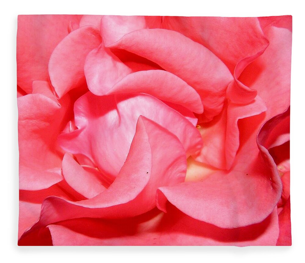 Pink Fleece Blanket featuring the photograph Delicate Swirls Of Pin by Kim Galluzzo Wozniak