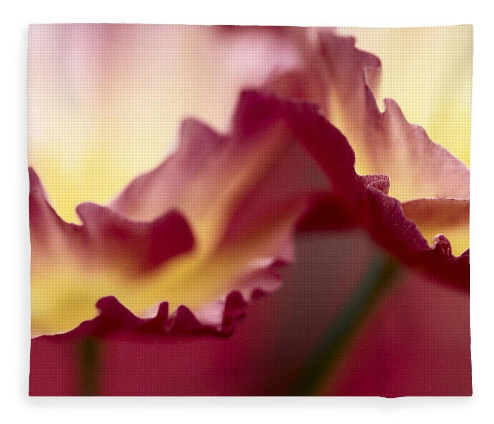 00283567 Fleece Blanket featuring the photograph Detail Of Crimson Colored Rose Petals by Jan Vermeer