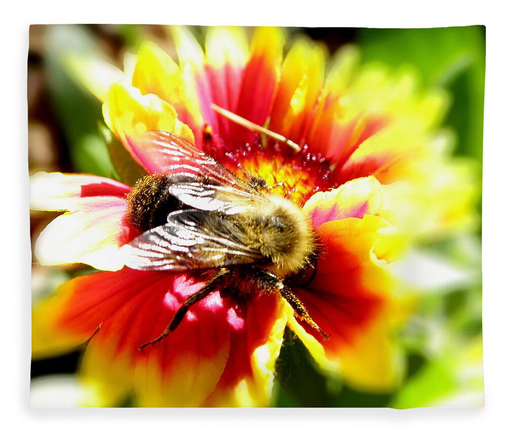 Bee Fleece Blanket featuring the photograph Diving In by Kim Galluzzo