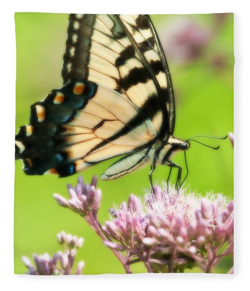 Butterfly Fleece Blanket featuring the photograph Eastern Tiger Swallowtail by Craig Leaper