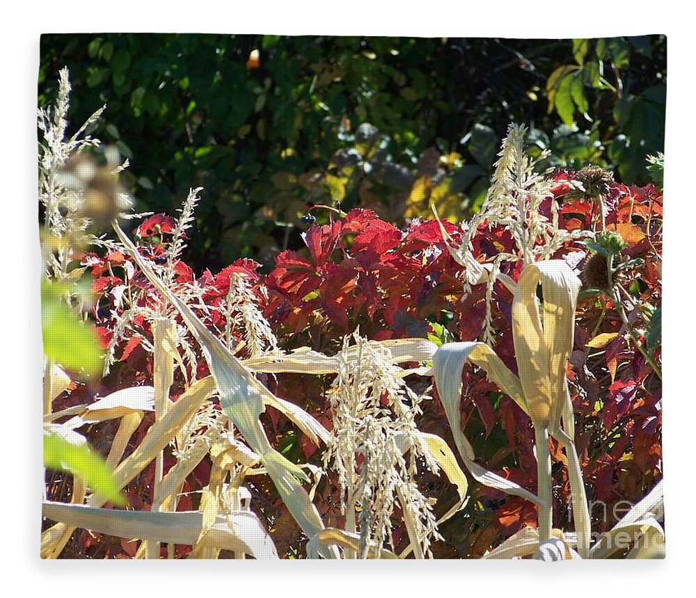 Fall Colors Fleece Blanket featuring the photograph Fall Harvest of Color by Dorrene BrownButterfield