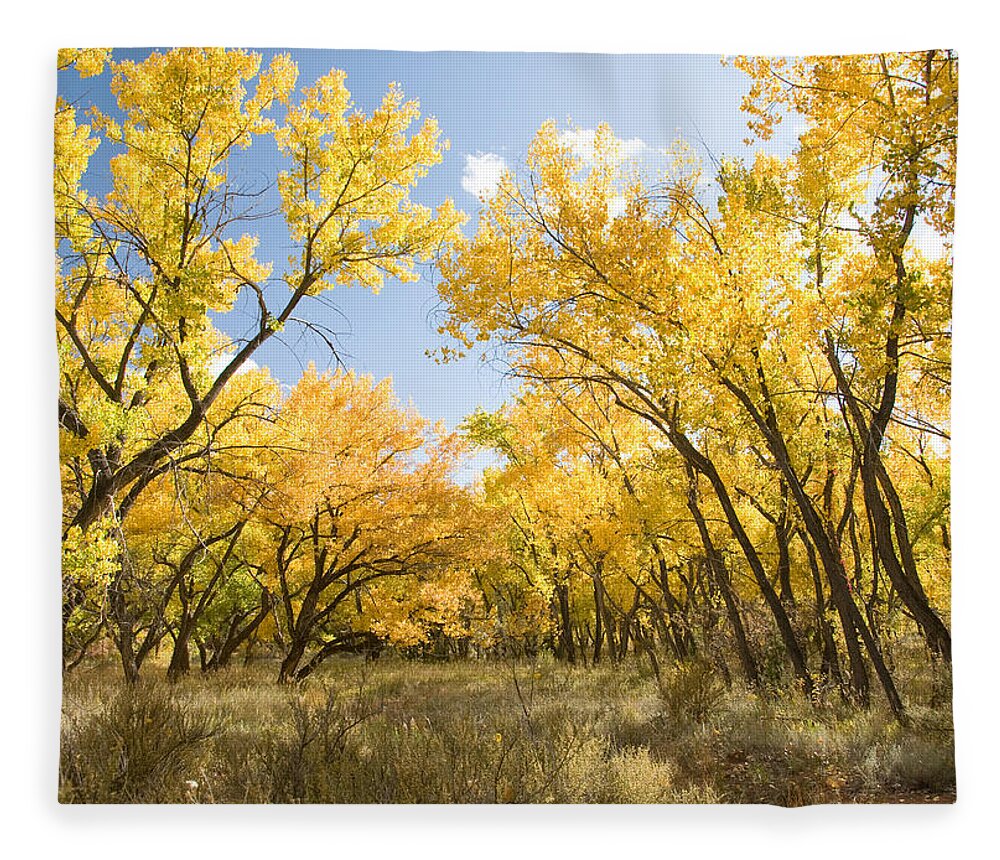 Fall Leaves Fleece Blanket featuring the photograph Fall Leaves in New Mexico by Shane Kelly