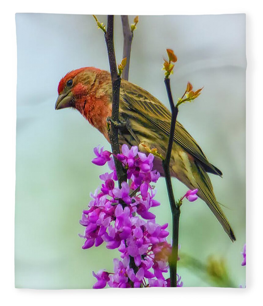 Finch Fleece Blanket featuring the photograph Finch on Blooming Branch by Bill and Linda Tiepelman