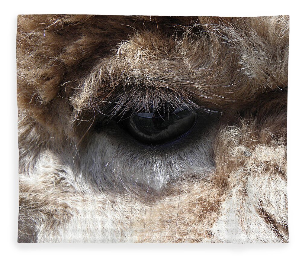 Alpaca Fleece Blanket featuring the photograph Fluffy Eyes by Kim Galluzzo Wozniak