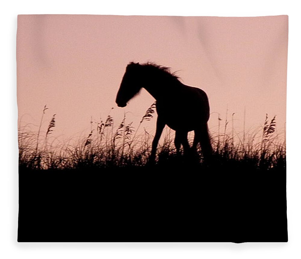Foal Fleece Blanket featuring the photograph Foal At Sunset by Kim Galluzzo Wozniak