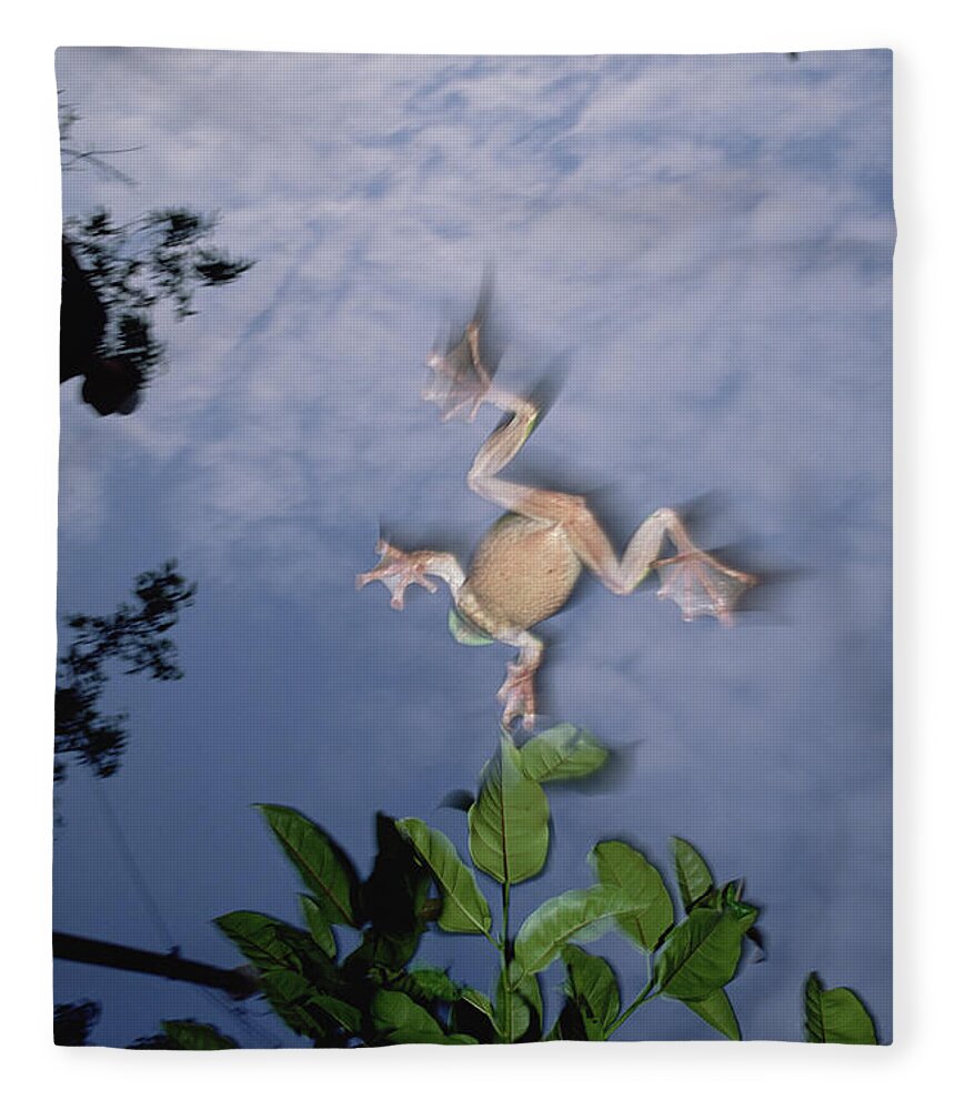 00116103 Fleece Blanket featuring the photograph Foam Nest Tree Frog by Mark Moffett