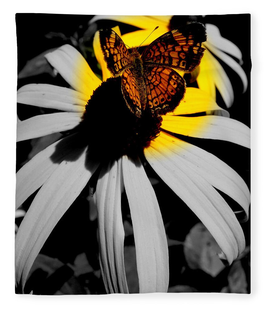 Butterfly Fleece Blanket featuring the photograph Frantilly Butterfly in focal blk and white by Kim Galluzzo