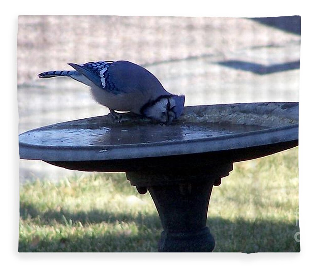 Blue Jay Fleece Blanket featuring the photograph Frustration by Dorrene BrownButterfield