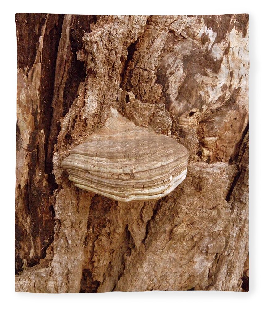 Fungi Fleece Blanket featuring the photograph Fungi by Kim Galluzzo Wozniak