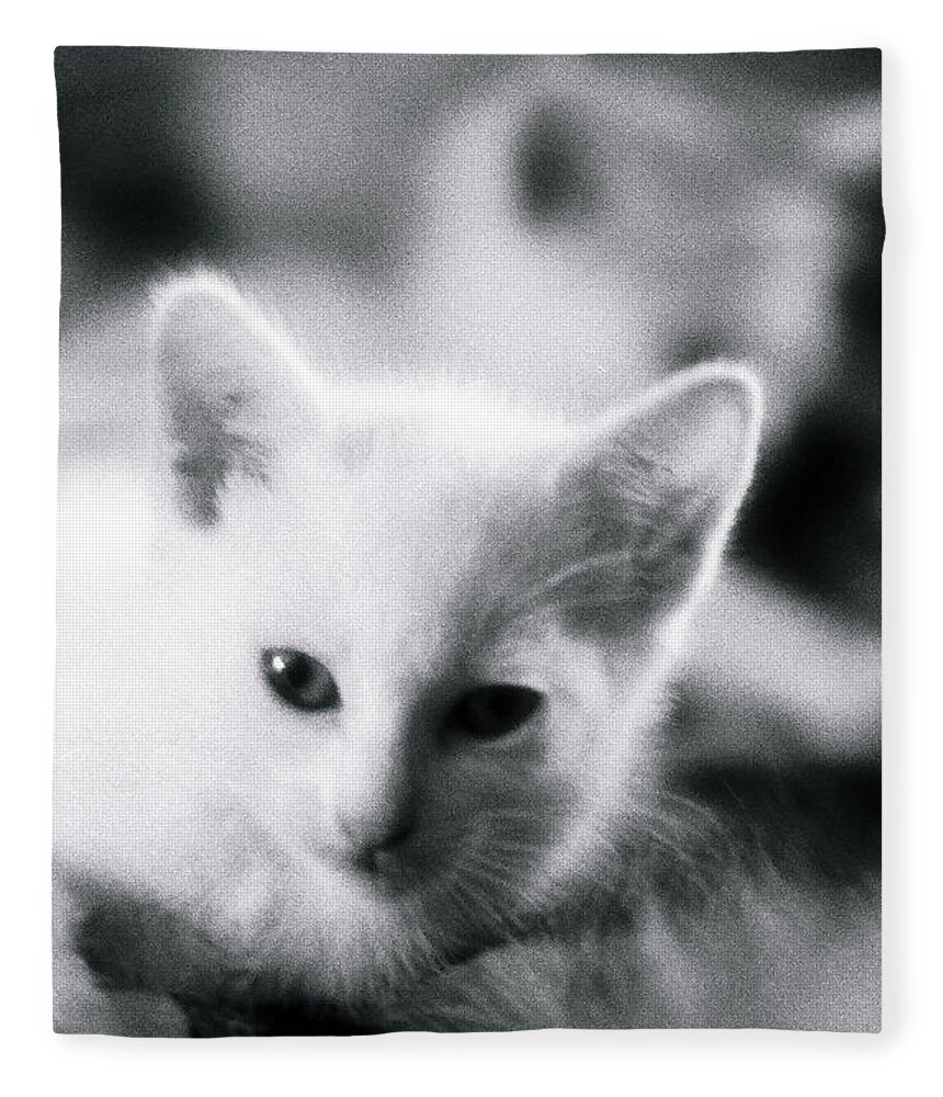 Cat Fleece Blanket featuring the photograph Ghost Kitties by Rory Siegel