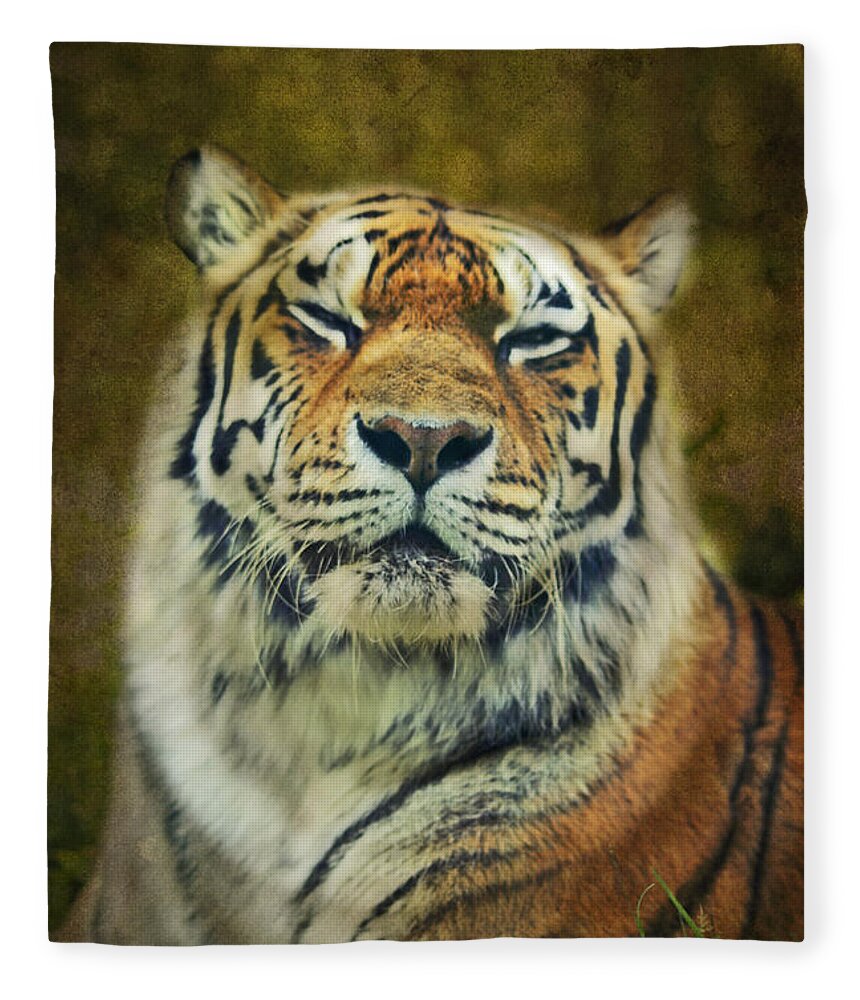 Tiger Fleece Blanket featuring the photograph Give me your tender look by Aimelle Ml