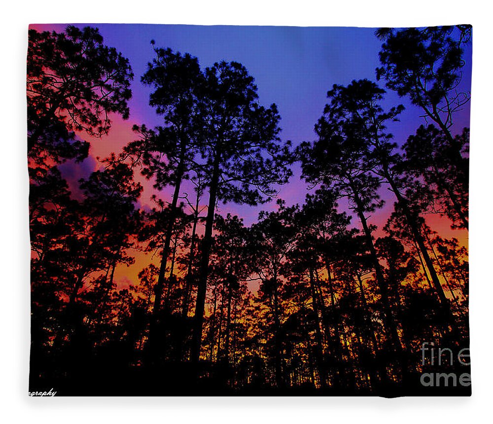 Glowing Forest Fleece Blanket featuring the photograph Glowing Forest by Barbara Bowen