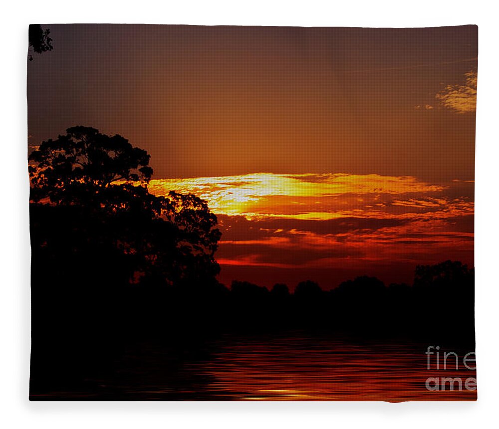 Landscape Fleece Blanket featuring the photograph Golden Pond by Ms Judi