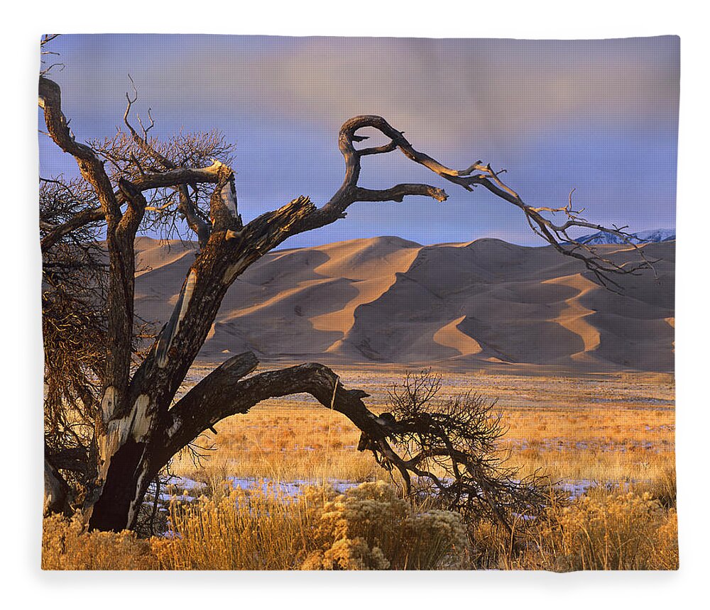00176731 Fleece Blanket featuring the photograph Grasslands And Dunes Great Sand Dunes by Tim Fitzharris