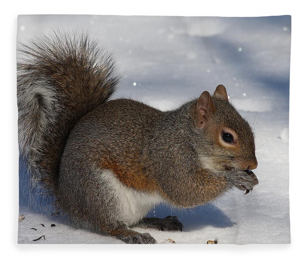 Gray Squirrel Fleece Blanket featuring the photograph Gray Squirrel On Snow by Daniel Reed