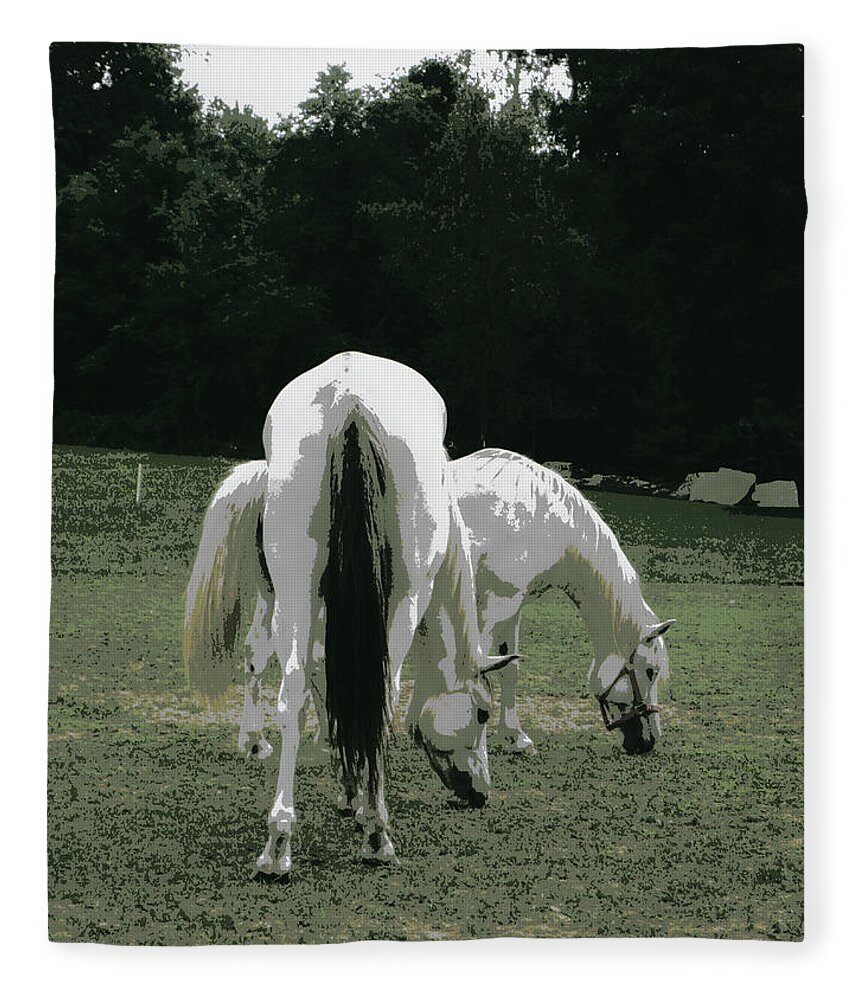 Horses Fleece Blanket featuring the photograph Grazing Friendship by Kim Galluzzo Wozniak