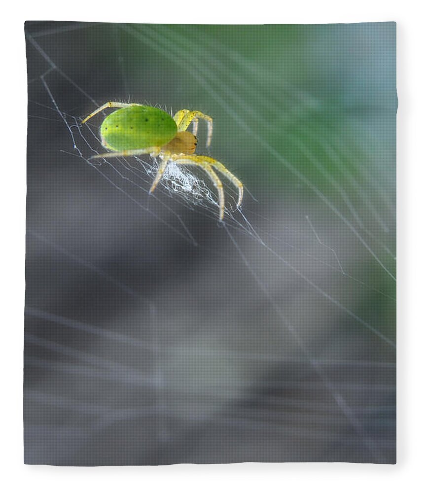Yhun Suarez Fleece Blanket featuring the photograph Green Spider 1.0 by Yhun Suarez