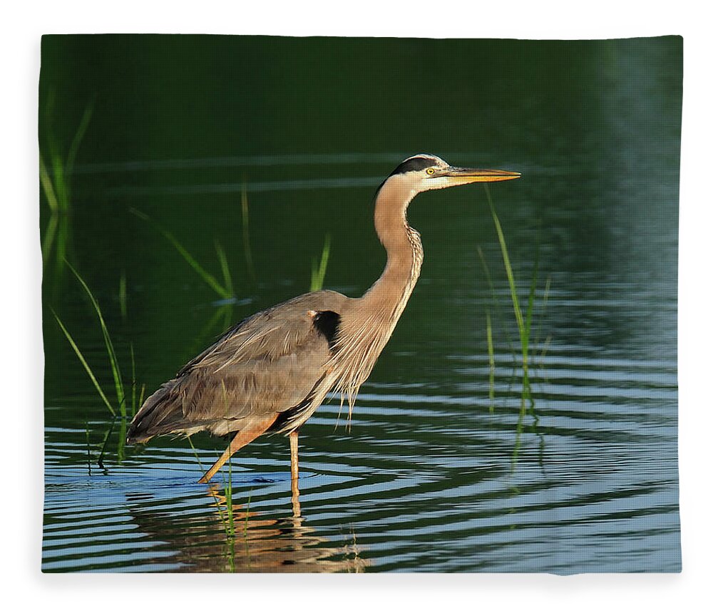 Water Fleece Blanket featuring the photograph Heron Sunrise by Craig Leaper