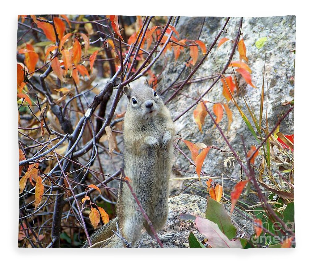Ground Squirrel Fleece Blanket featuring the photograph Hey There by Dorrene BrownButterfield