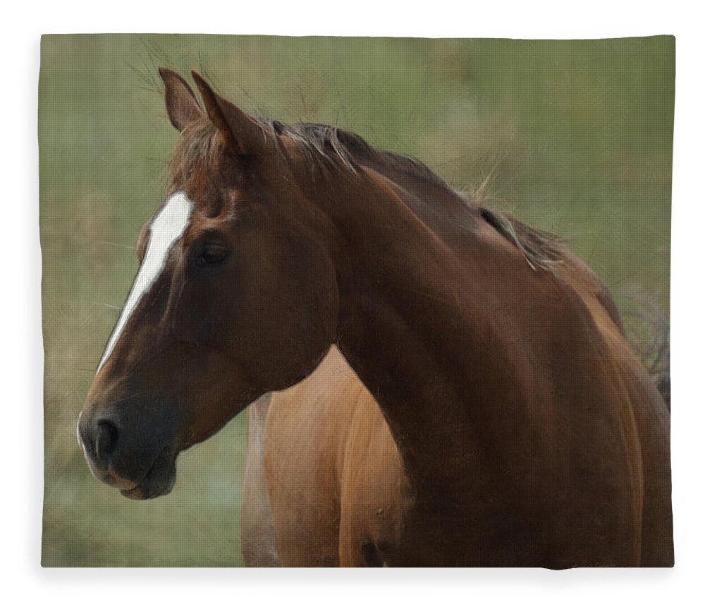 Horse Fleece Blanket featuring the digital art Horse Painterly by Ernest Echols