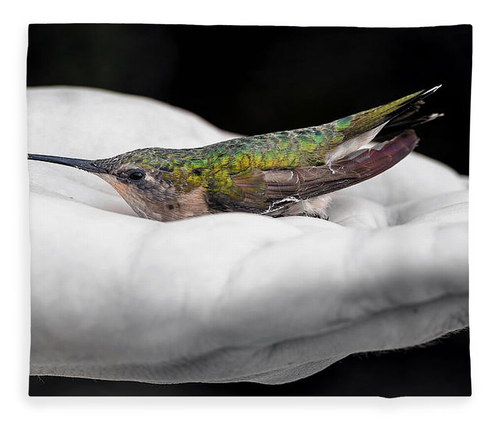 Hummingbird Fleece Blanket featuring the photograph Hummingbird Rescue by Bill and Linda Tiepelman