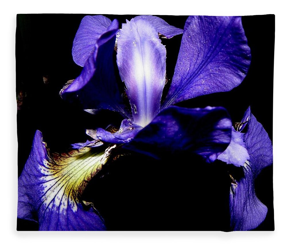Iris Fleece Blanket featuring the photograph I am a winner by Kim Galluzzo