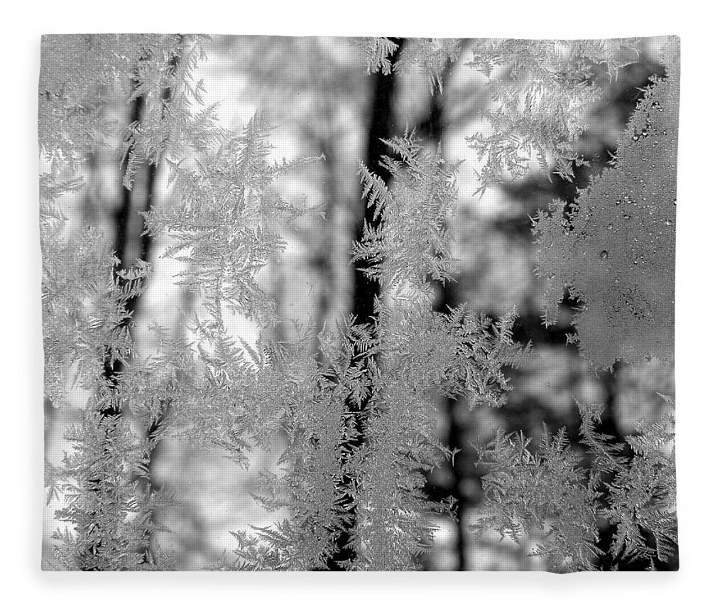 Ice Fleece Blanket featuring the photograph Ice Crystal Beauties by Kim Galluzzo