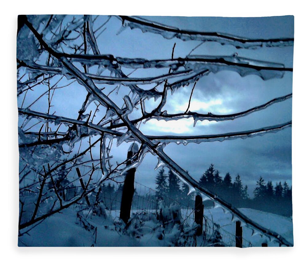 Landscape Fleece Blanket featuring the photograph Illumination by Rory Siegel