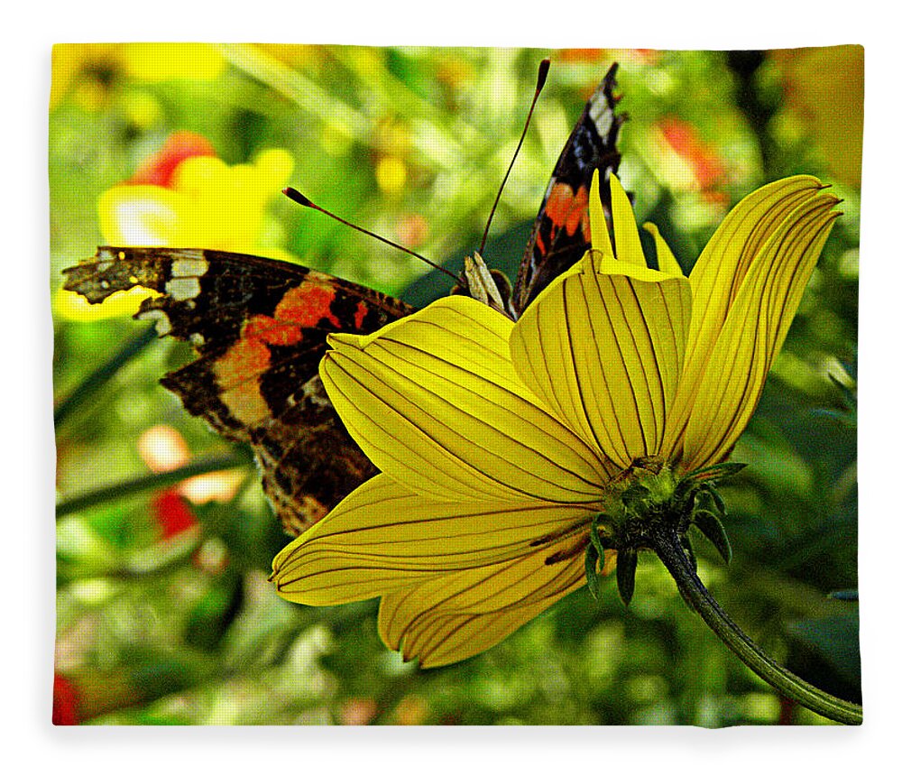 Butterfly Fleece Blanket featuring the photograph I'm peaking at you by Kim Galluzzo