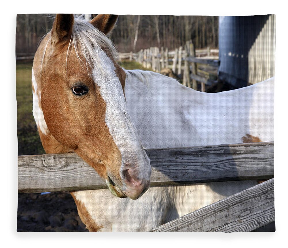Horse Fleece Blanket featuring the photograph Im Ready by Burney Lieberman