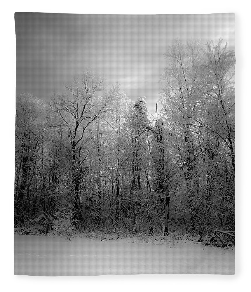 B&w Fleece Blanket featuring the photograph Impressionist Snow by Lori Coleman