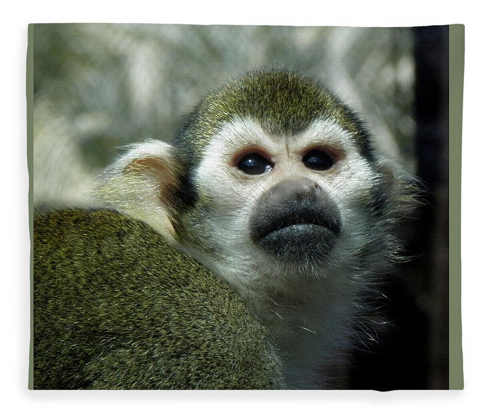 Monkey Fleece Blanket featuring the photograph In Thought by Kim Galluzzo Wozniak