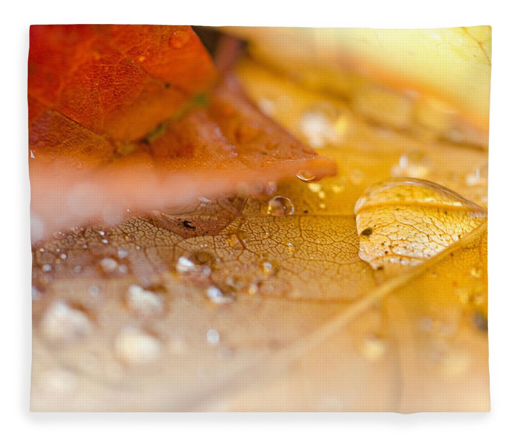 Autumn Fleece Blanket featuring the photograph Intimate Leaf Study by Margaret Pitcher