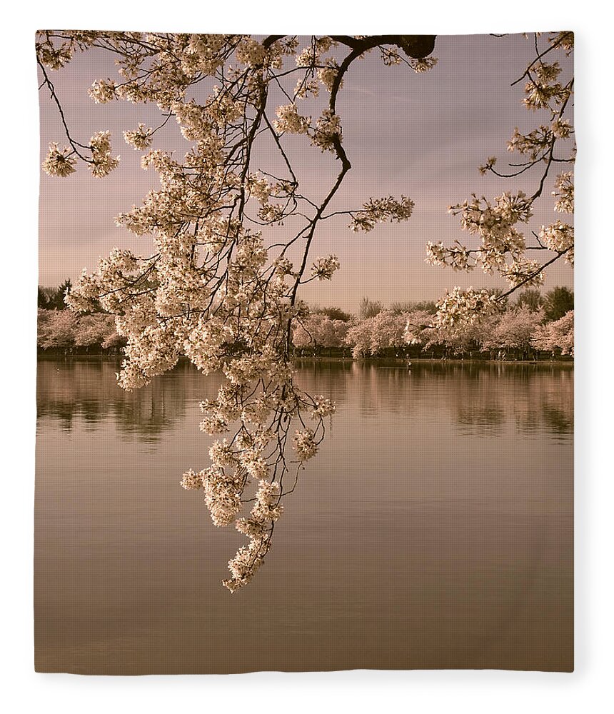 Washington D.c. Fleece Blanket featuring the photograph Japanese Cherry Tree Blossoms over the Tidal Basin in Sepia DS019S by Gerry Gantt