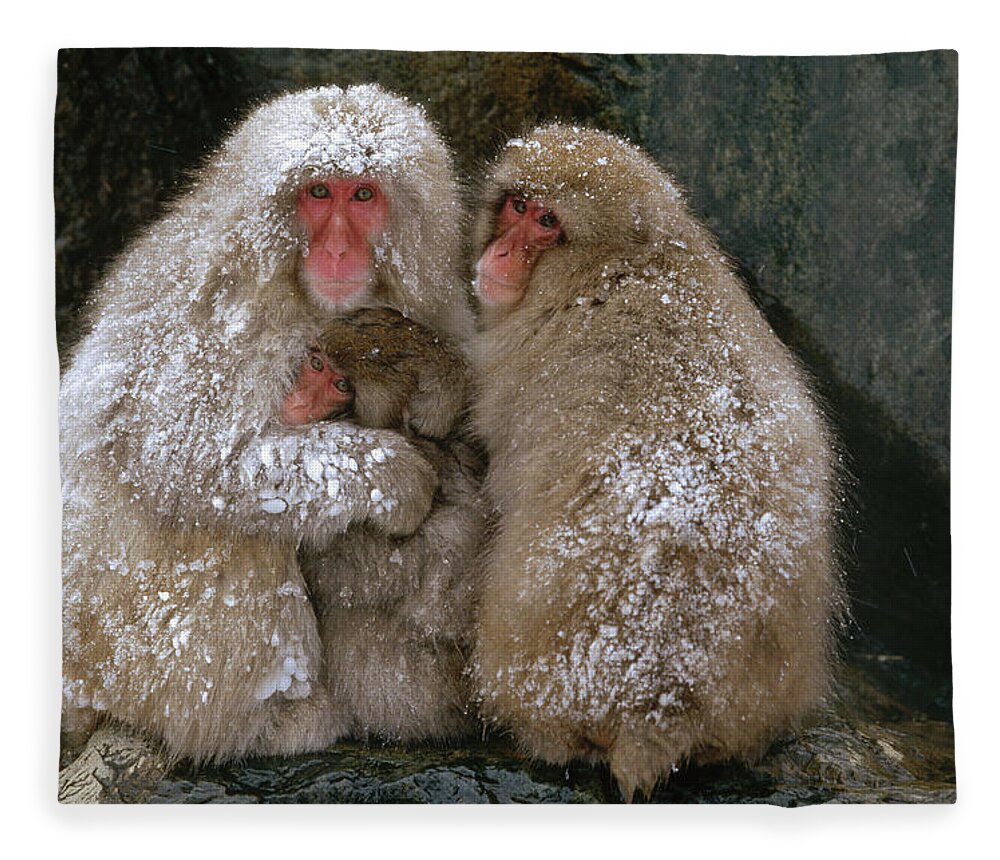 Mp Fleece Blanket featuring the photograph Japanese Macaque Macaca Fuscata Family by Konrad Wothe