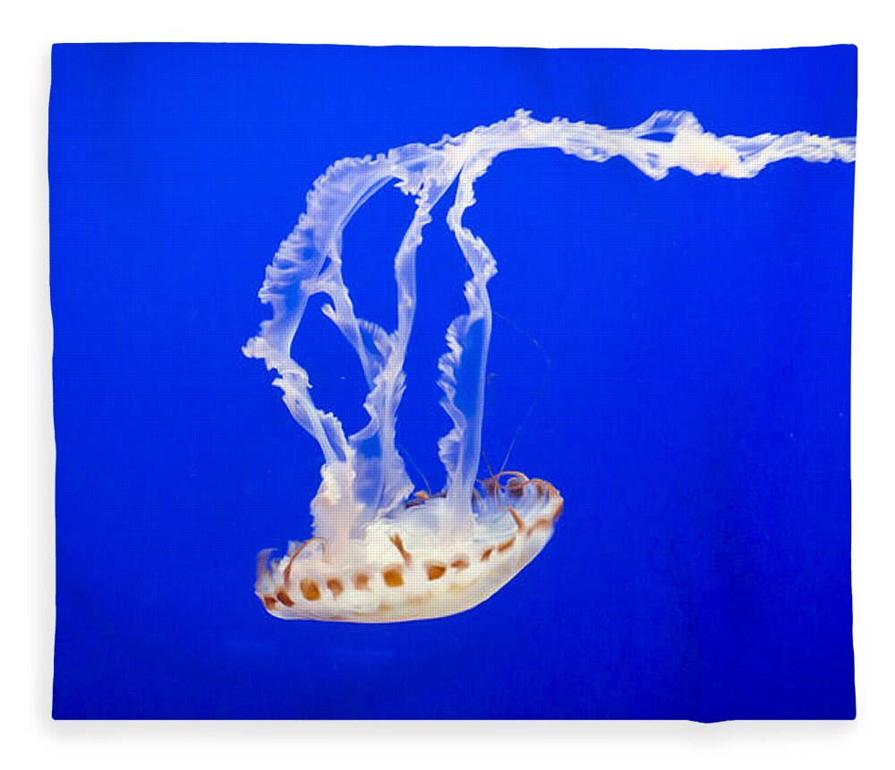 Jelly Fleece Blanket featuring the photograph Jelly Fish by Heather Applegate