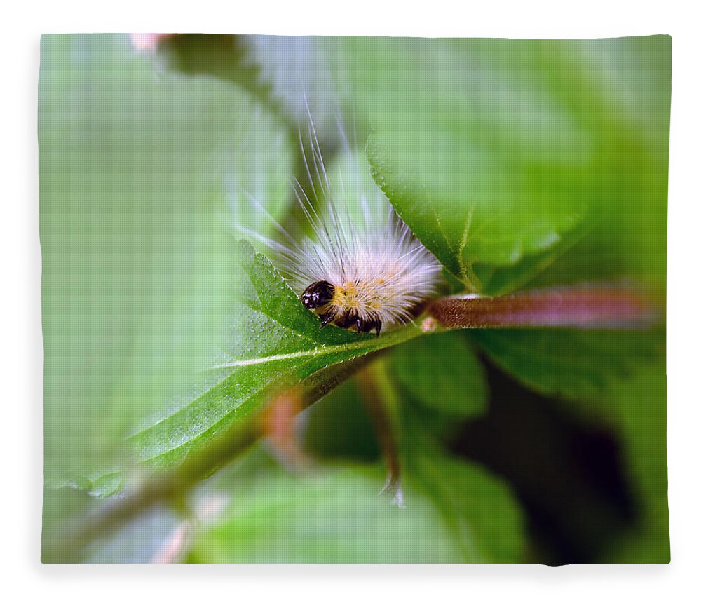 Caterpillar Fleece Blanket featuring the photograph Leaf for One by Lori Tambakis