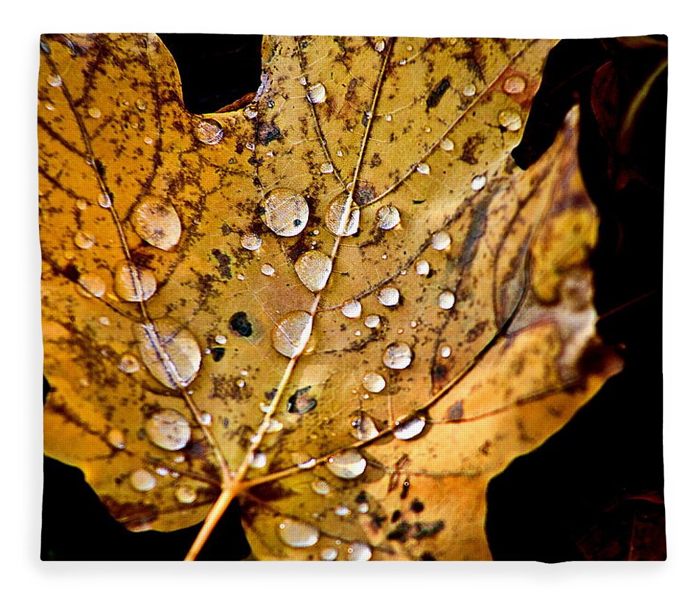 Fall Leaf With Water Droplets Fleece Blanket featuring the photograph Leafwash by Burney Lieberman