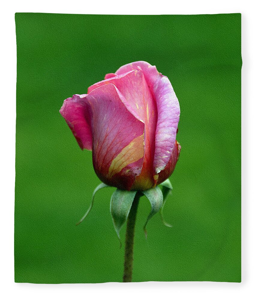 Flower Fleece Blanket featuring the photograph Left Standing Alone by Georgiana Romanovna