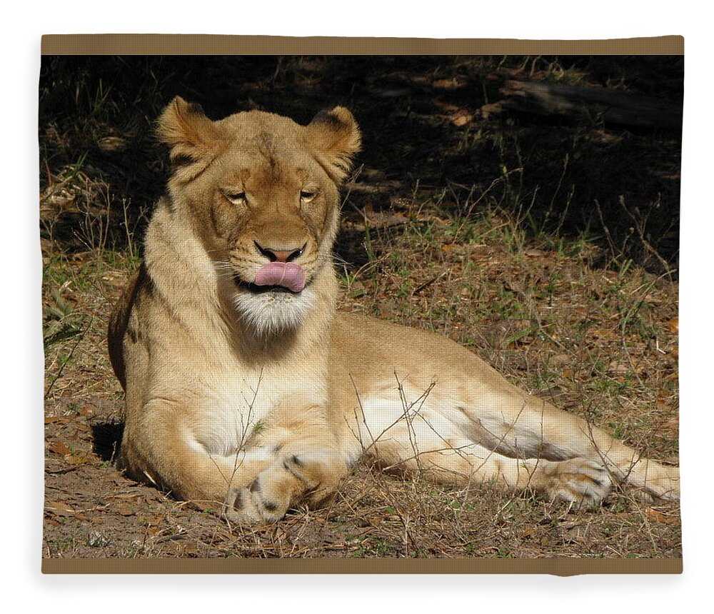 Lion Fleece Blanket featuring the photograph Licking Lips by Kim Galluzzo Wozniak