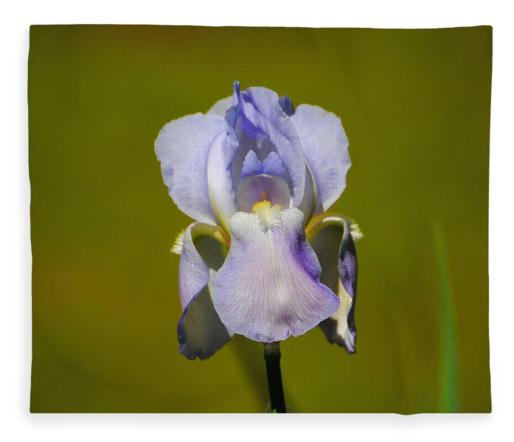 Beautiful Iris Fleece Blanket featuring the photograph Lilac Blue Iris Flower II by Jai Johnson