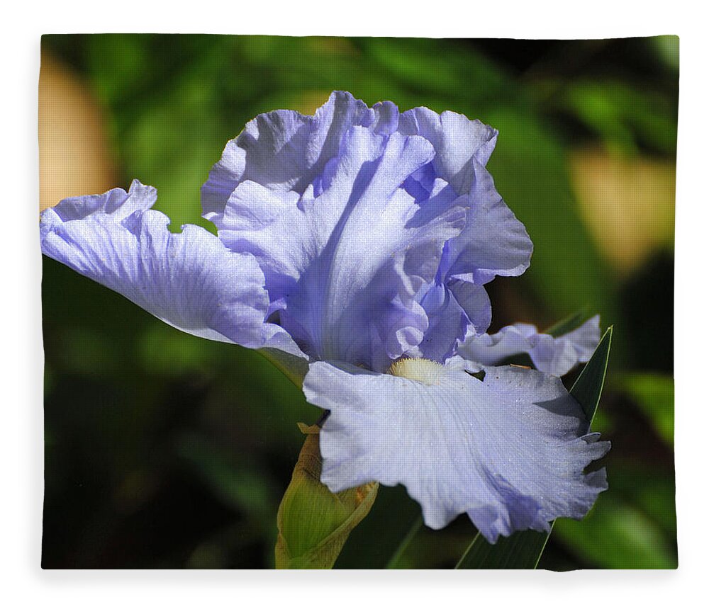Beautiful Iris Fleece Blanket featuring the photograph Lilac Blue Iris Flower by Jai Johnson